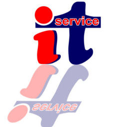 it logo